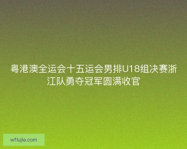 粤港澳全运会十五运会男排U18组决赛浙江队勇夺冠军圆满收官