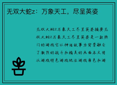 无双大蛇z：万象天工，尽呈英姿